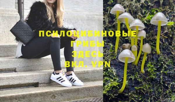 соль курить ск Кулебаки