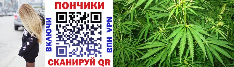 Купить  Ялуторовск  Каннабис гибрид 
